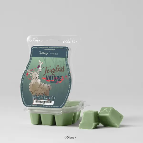 Frozen 2: Fearless By Nature – Scentsy Bar