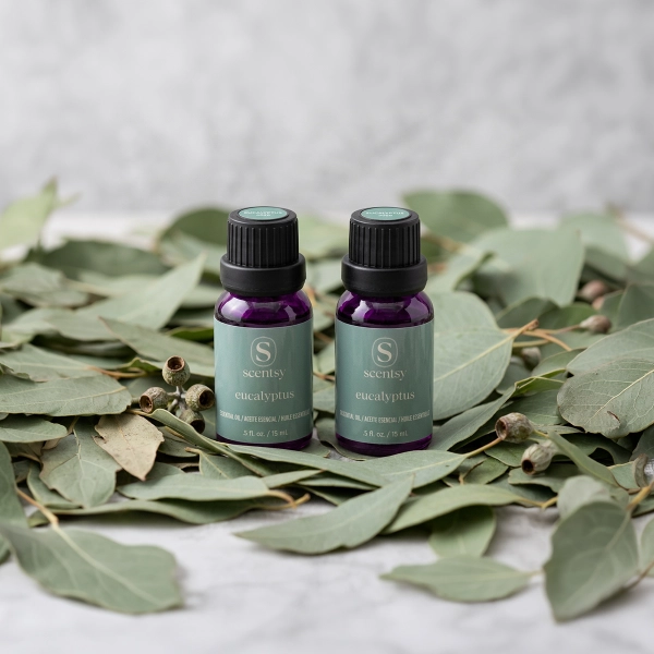 Eucalyptus Essential Oil – 2-pack