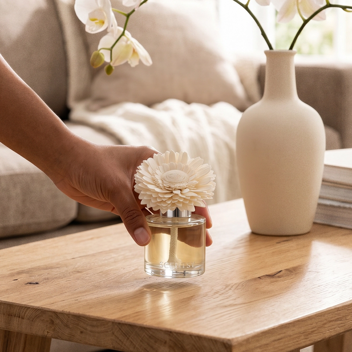 Late-Night Novel – Dainty Daisy Fragrance Flower photo 3